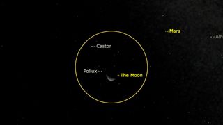 night sky graphic showing pollux just to the left of the moon.