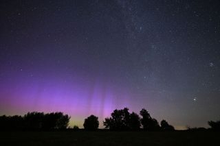 Northern lights above Brandenburg, Germany appear as curtains of purple light in the night sky.