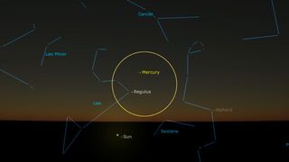 night sky graphic illustration showing Mercury just to the upper right of Regulus.