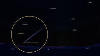 graphic illustration showing the location of the comet in the predawn sky.