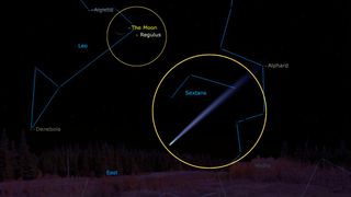 graphic illustration showing the location of the comet in the predawn sky.