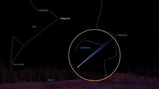 graphic illustration showing the location of the comet in the predawn sky.