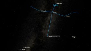 graphic showing the northern cross in the night sky with labelled stars.